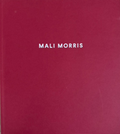 REMADE ANEW: Mali Morris' Paintings 42 page illustrated booklet available from Royal Academy Shop 